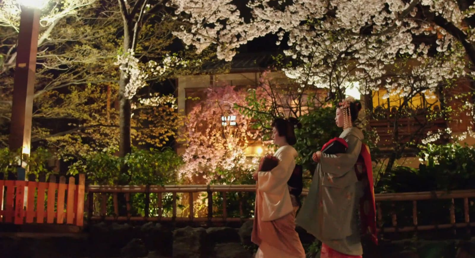 櫻花盛開的三月是京都最優雅的季節，藝伎漫步其間就像一幅畫。圖／紀錄片《京都藝伎：祇園物語》