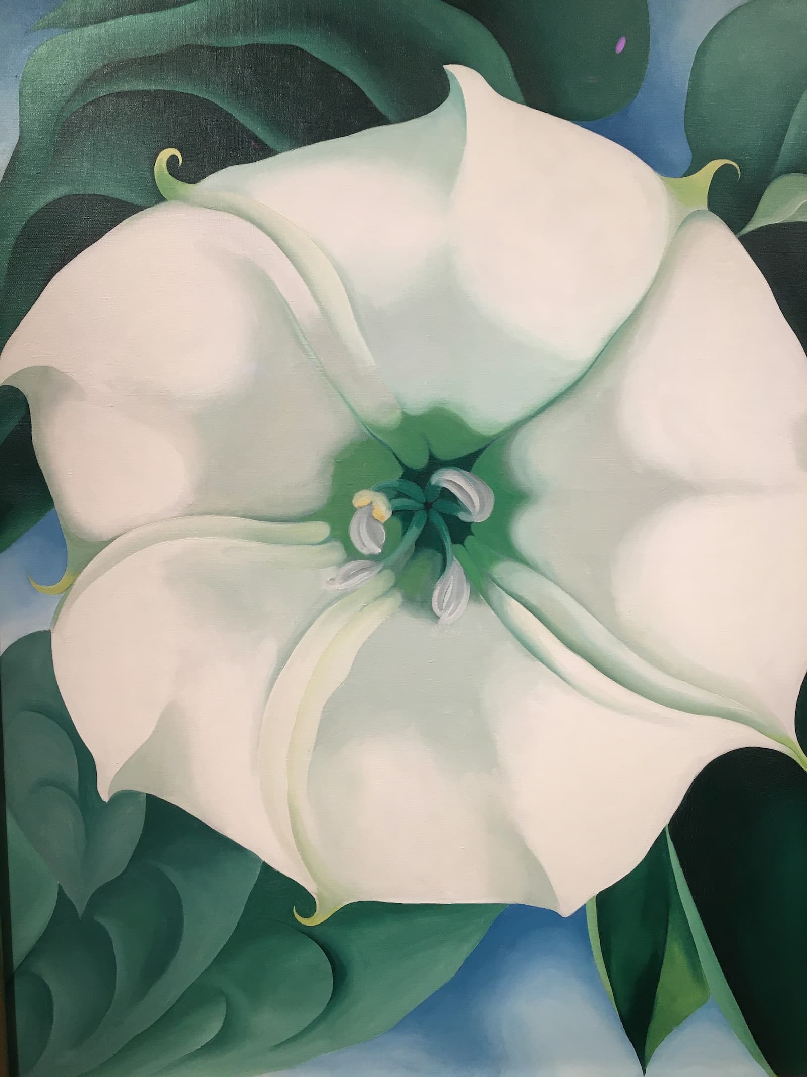 歐姬芙的巨大花卉作品《WHITE FLOWER》( 1932)。劇照／《沙漠中的花朵─歐姬芙》