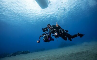 八年跳海無數次揭密水下世界，李景白：我的海海人生就是追求創作的自由
