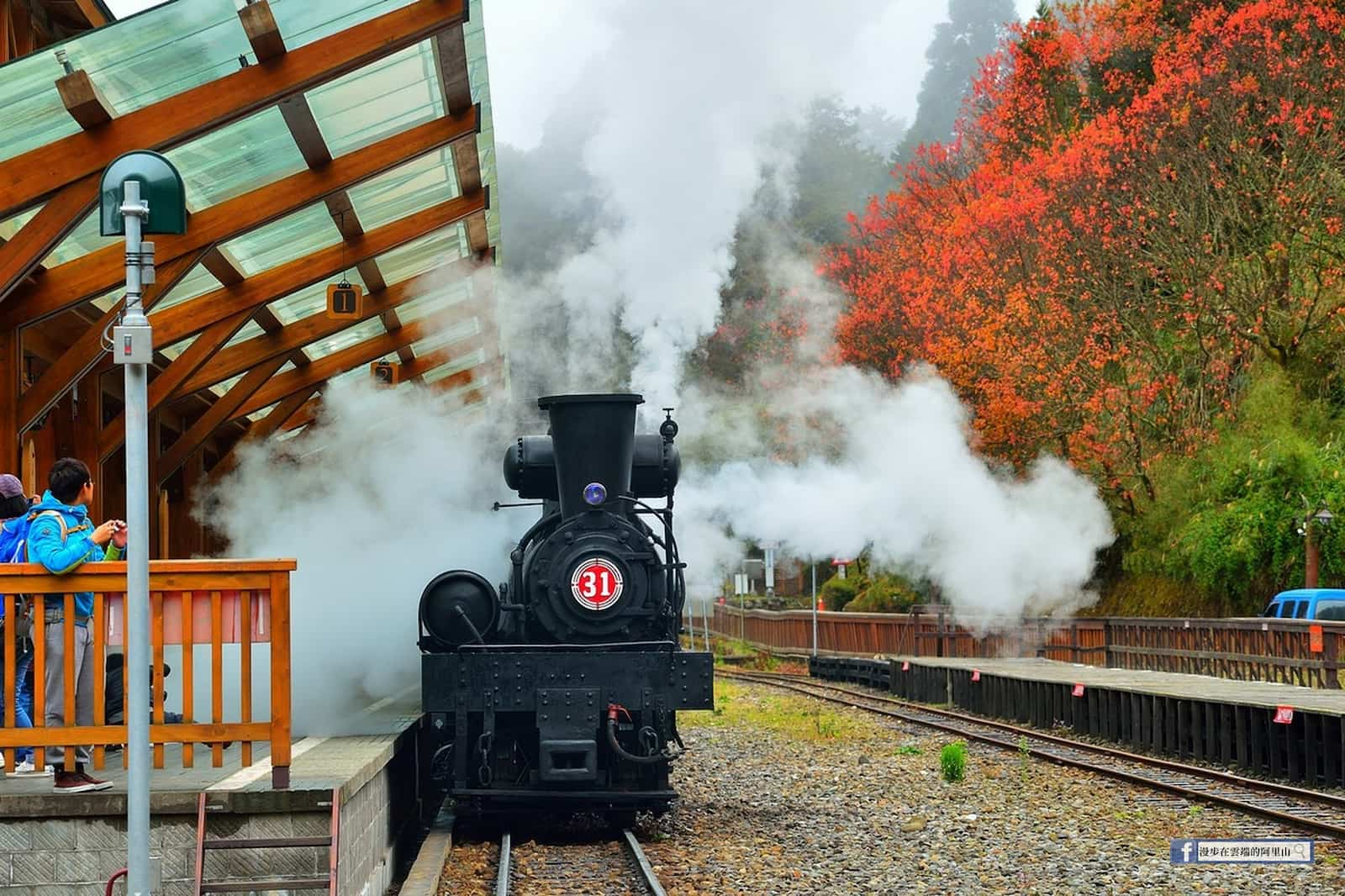 沼平楓紅蒸汽火車。圖／黃源明攝影