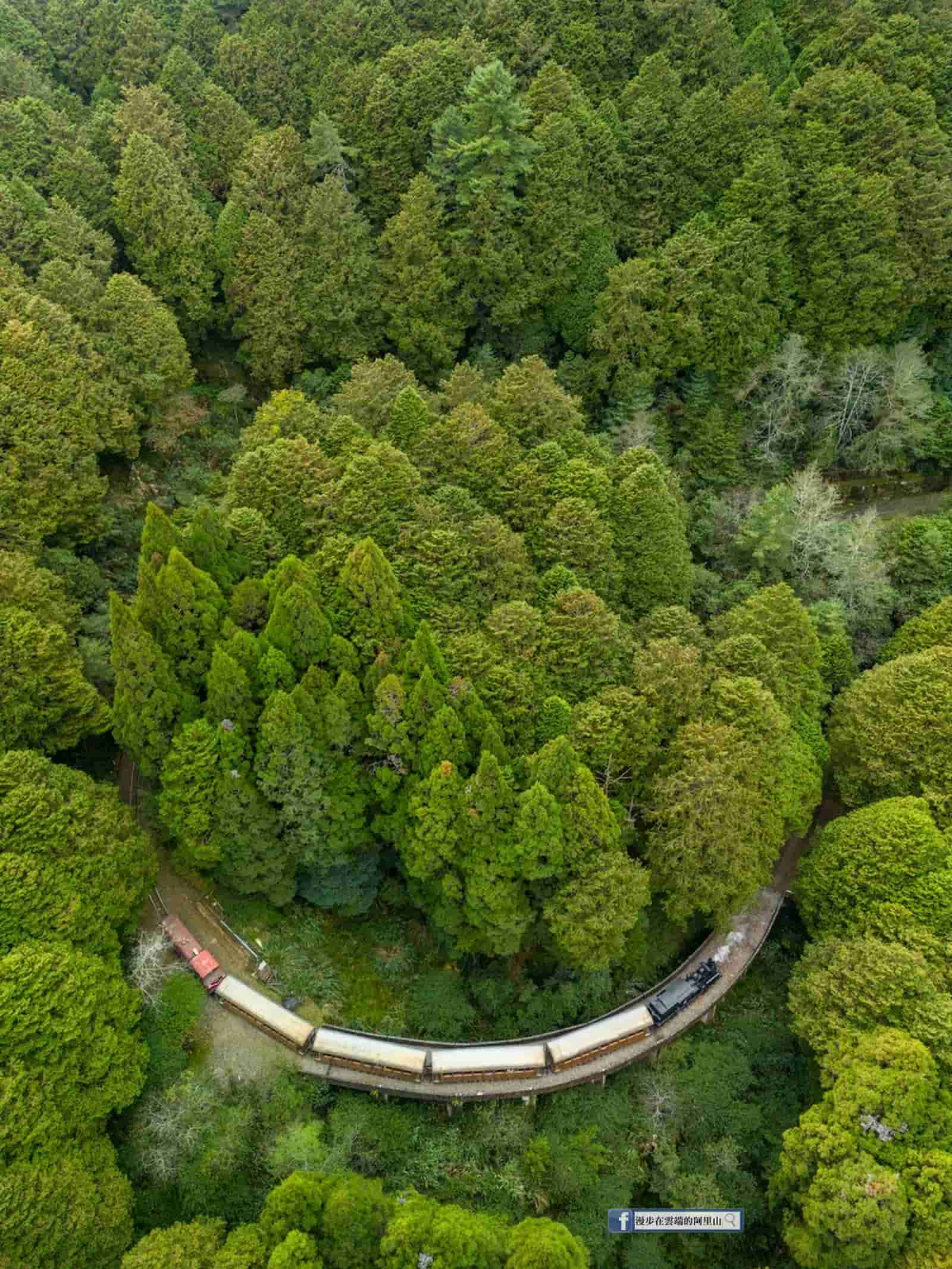 祝山線經典大彎。圖／黃源明攝影