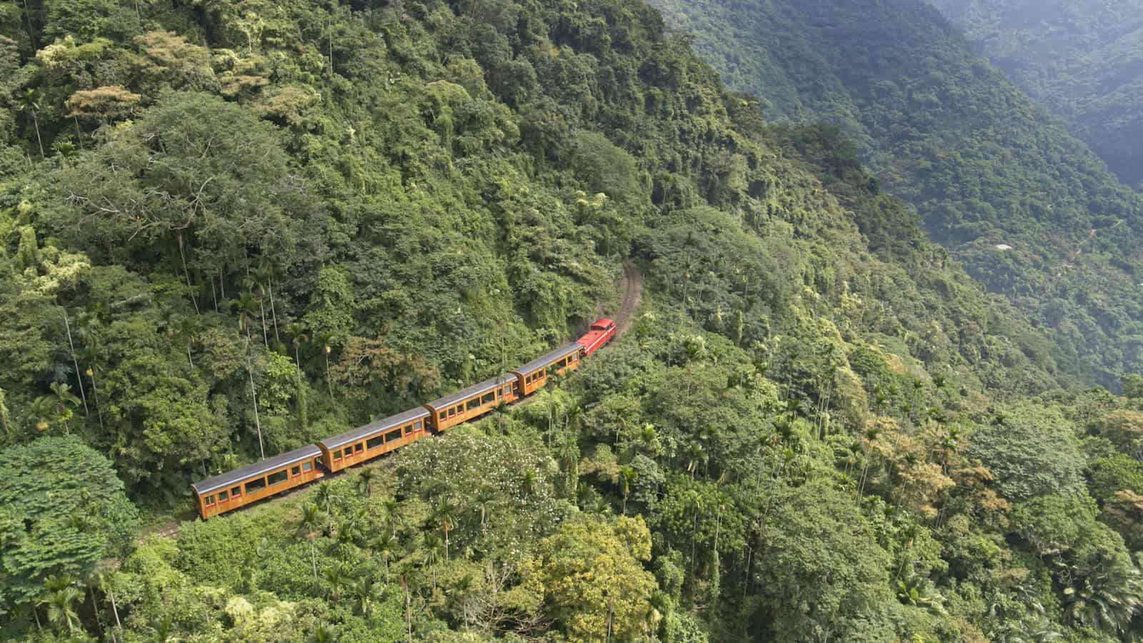 《神木之森》記錄了世界登山鐵路五種工法，以及火車翻山越嶺的驚奇畫面。劇照／《神木之森》