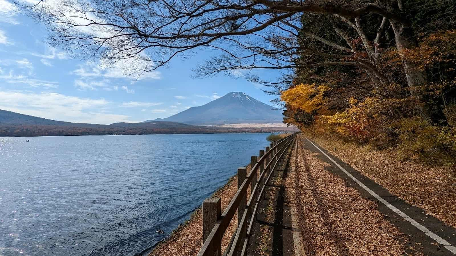 富士五湖之一的山中湖，這裡有自行車專屬車道，只有當地居民跟單車騎士才能享受的富士山紅葉湖景，保證沒人跟你搶。圖／王克強提供