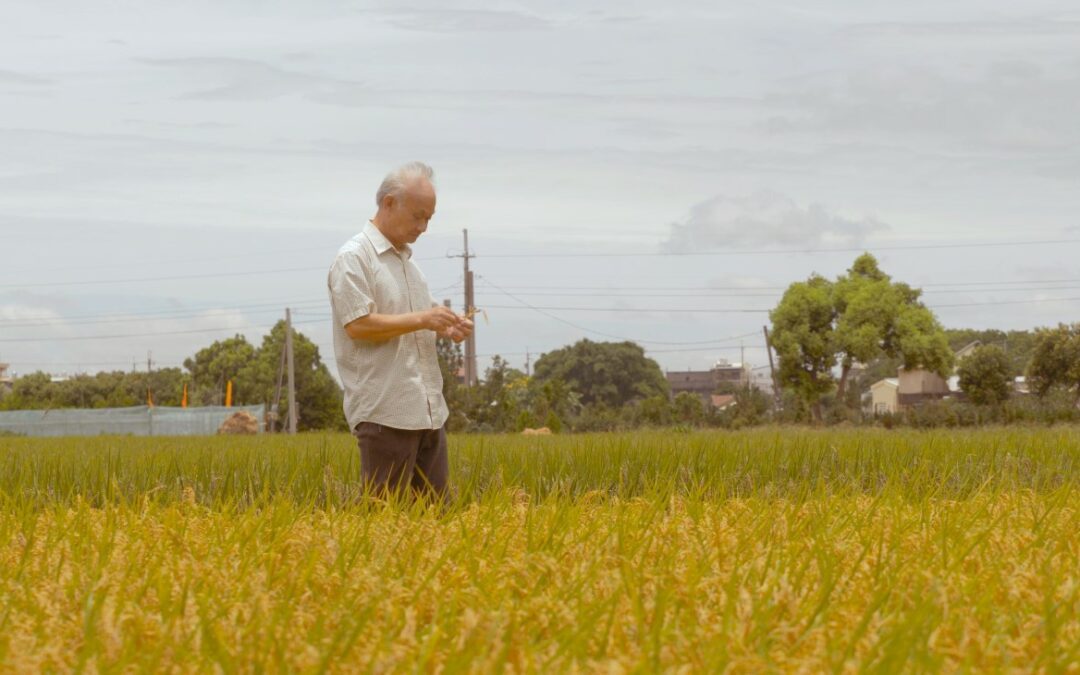 北農事件衝擊淡泊日常，詩人吳晟將無能為力揉進詩裡