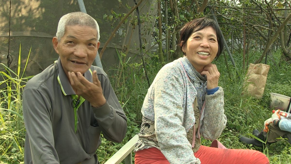 安和哥（左）與太太。圖／《種土》