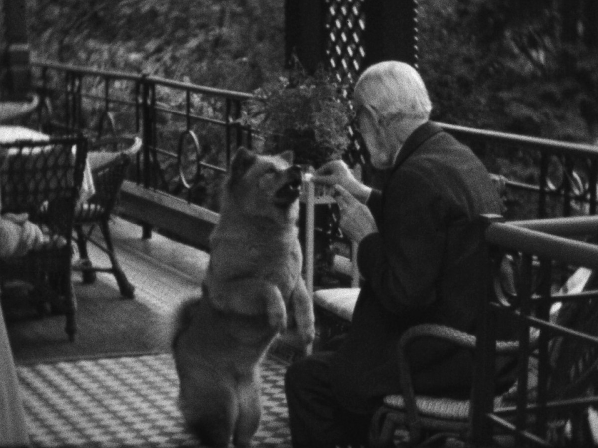 佛洛伊德與愛犬。圖／《佛洛依德：一個無神的猶太人》