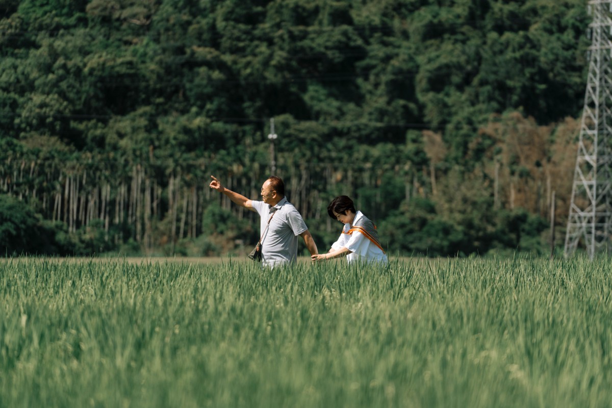 劇中梁淑與顧阿姨的愛情令人羨慕。圖／《就算一個人也可以好好的吃飯2》