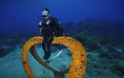 運動部適應運動司司長林佩君：真正的共融是建構出承接多元需求的環境與制度，讓選擇權回到每個人手中