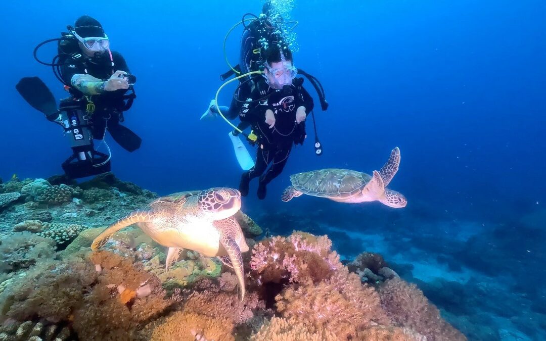 身障者如何玩得開心自在？腦麻患者莊富凱潛水圓夢，充分溝通讓障礙化為新可能
