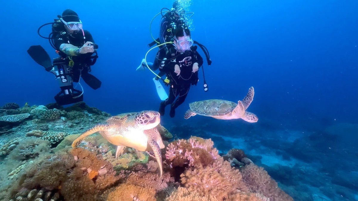 莊富凱（凱哥）（中）在國內完成潛水的夢想，在綠島潛水看到了海龜。圖／《極樂世界之好好出門》