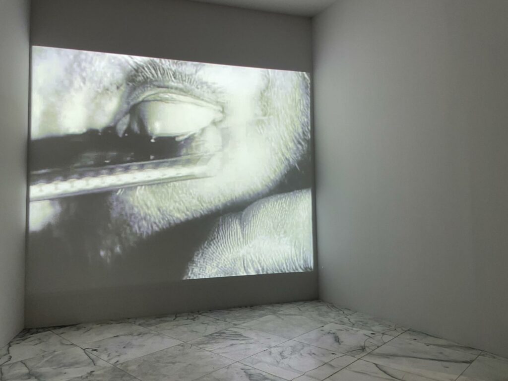 ｜在「集體夢境」展區，播映〈安達魯之犬〉（1929），女主角的眼球被剃刀割裂。