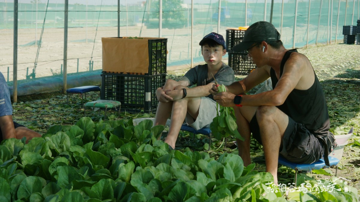 中邑對務農沒興趣也不敢表達，分心的態度讓Home爸動了氣。圖／《換個爸媽過幾天》