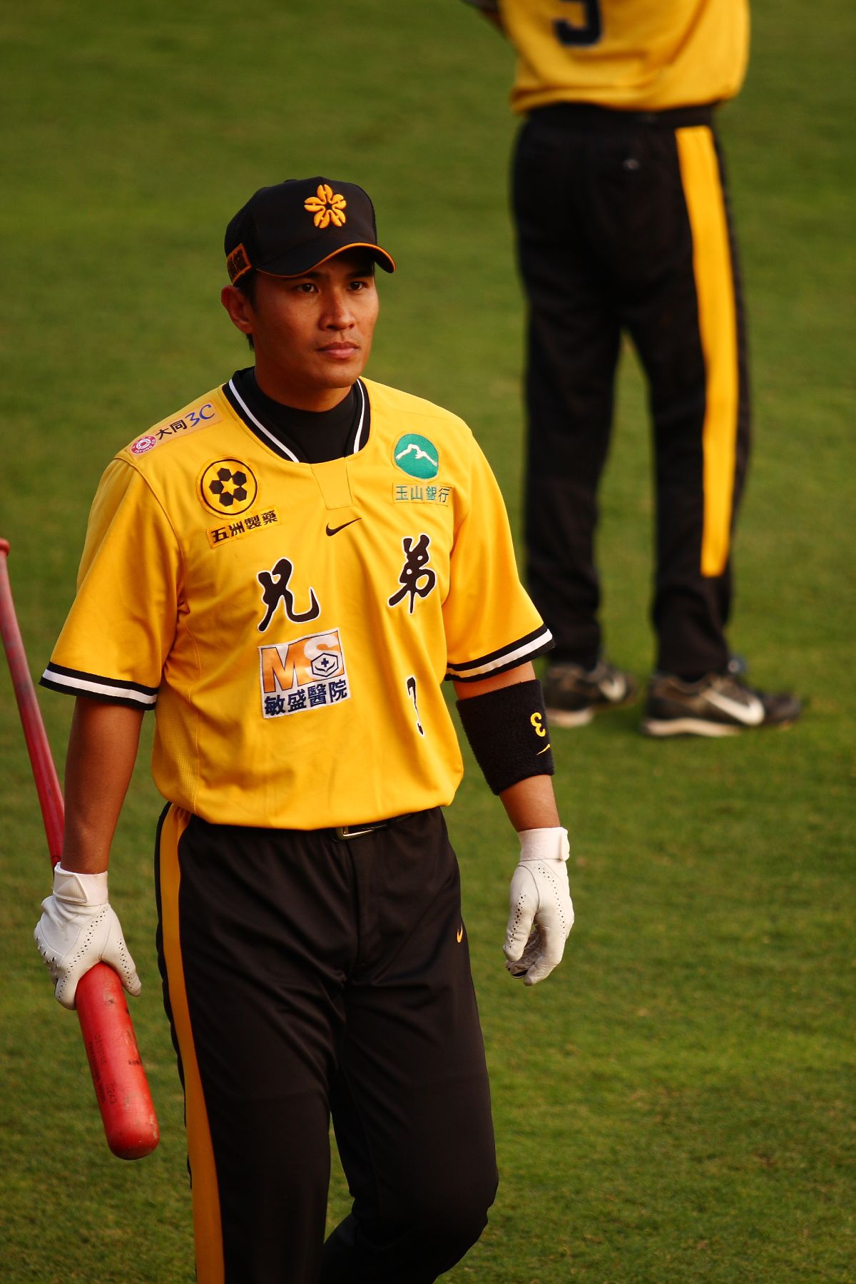 王金勇球員時期是兄弟球團的二代象成員。圖片來源 / 維基百科 / 張思弦 .CC BY 2.0