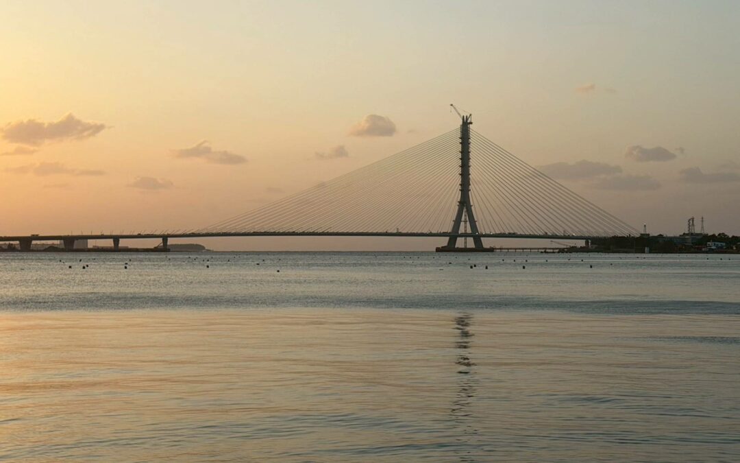 從紙上建築到11年巨作！2組關鍵字拆解淡江大橋「單塔不對稱」背後的生態與考究