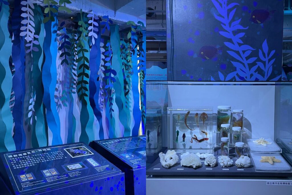 |珊瑚礁生物的標本展品,由屏東海生館提供。