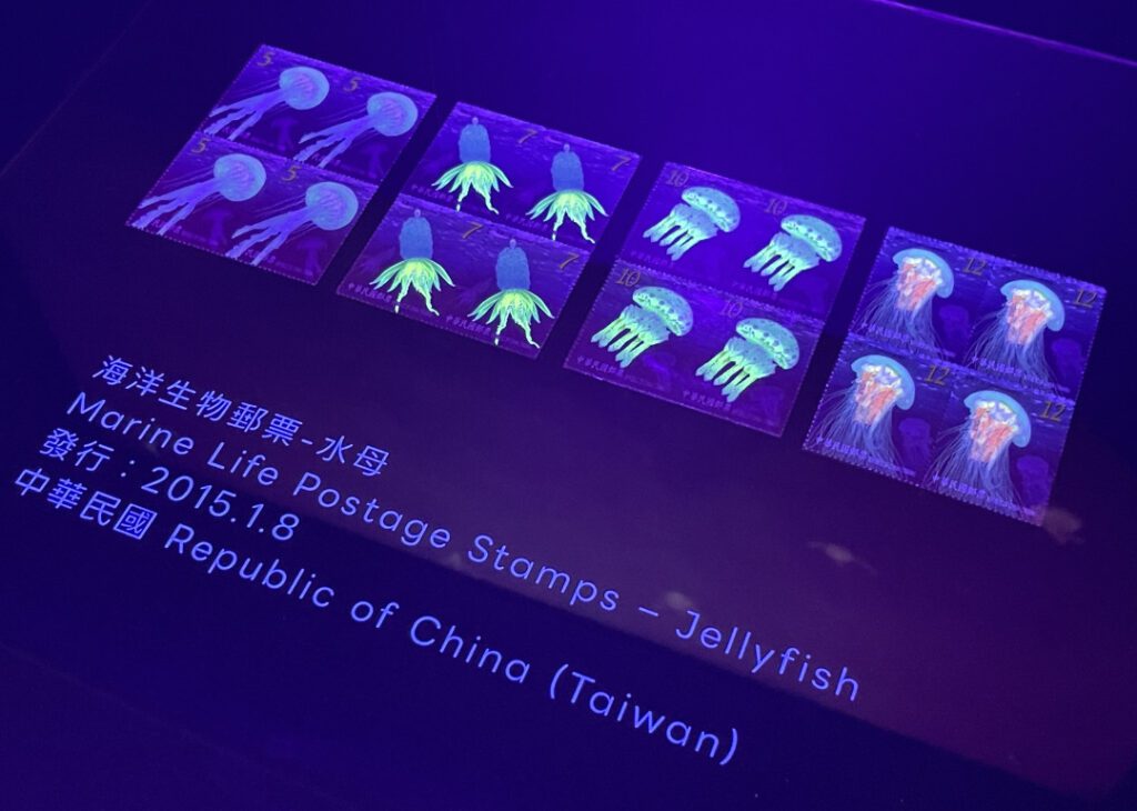 |水母游泳的影像,呼應也有螢光效果的郵票。