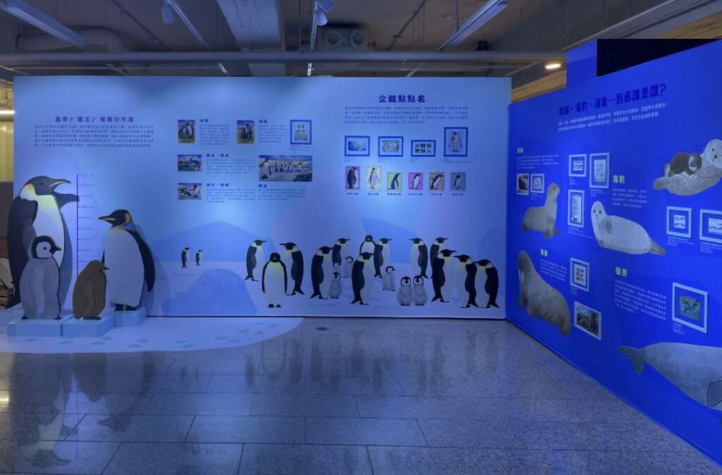 |展示不同種類的企鵝,並教觀眾怎麼分辨海獅和海豹。