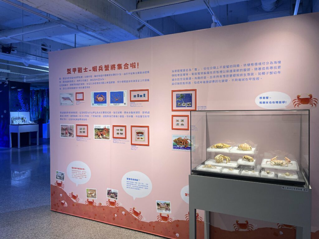 |螃蟹標本呼應蝦蟹主題的郵票展品。