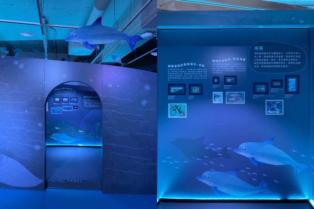 |內部底光打上藍燈,呈現海底世界的氛圍。