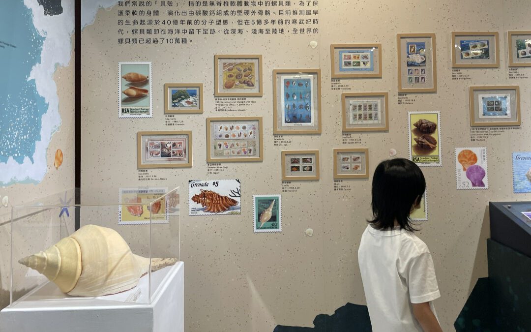 親子同遊首選！郵博館《Oh！海郵》用諧音梗、郵票及標本打造海底世界
