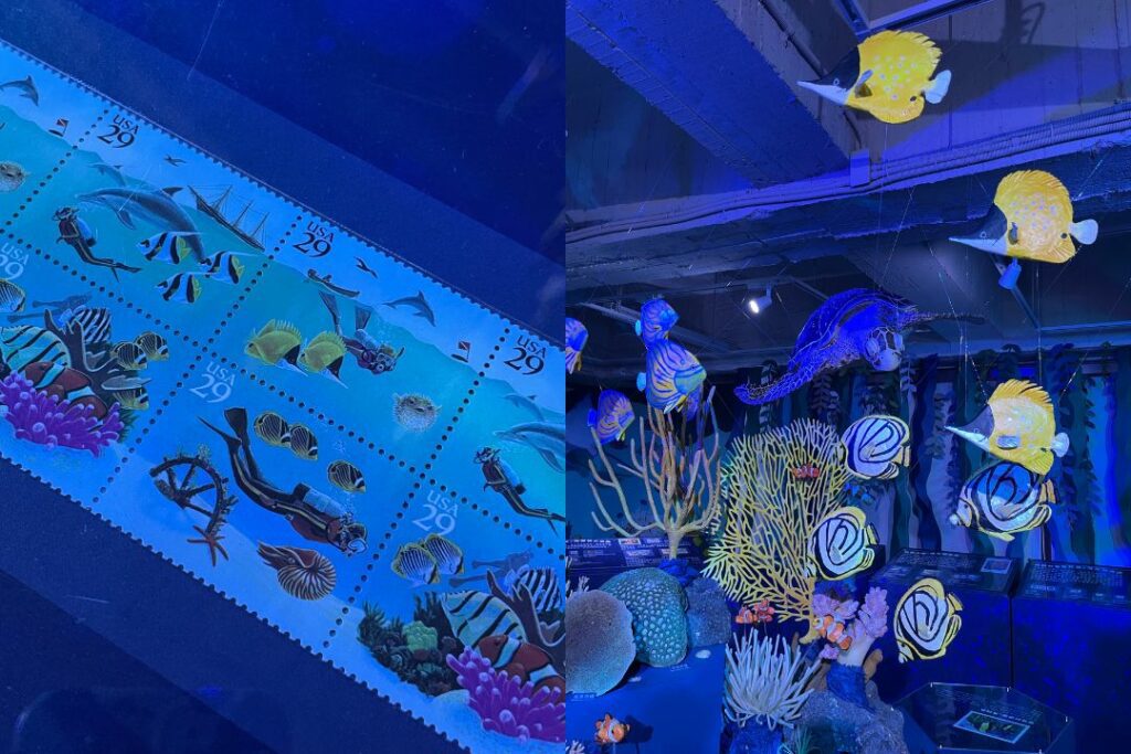 |與郵票圖面相呼應的珊瑚礁魚群。