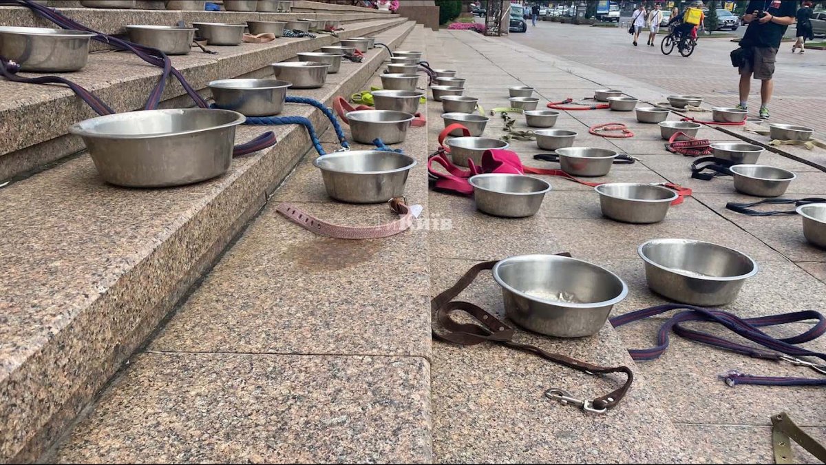 志工以博羅江卡收容所內過世狗狗的飼料碗，向世人控訴絕不能忘記這場悲劇。圖／《戰火下的毛孩》